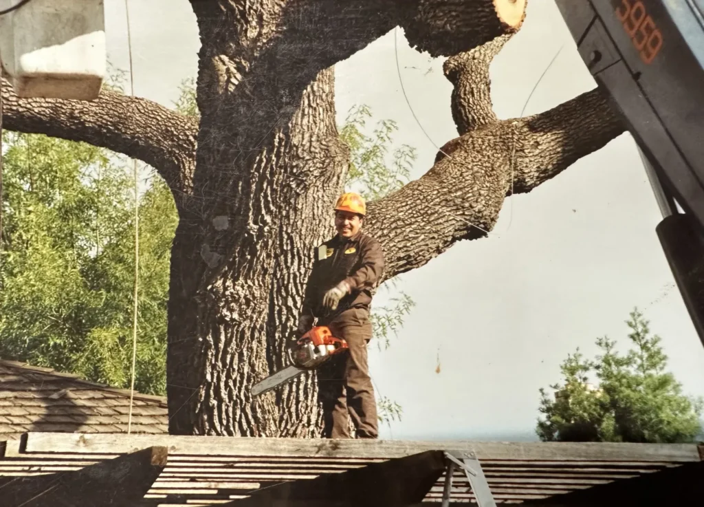 Aly wearing a hard had by a tree with chainsaw in hand