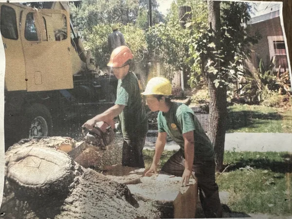 Newspaper clipping of aly's tree trimming and yard crew