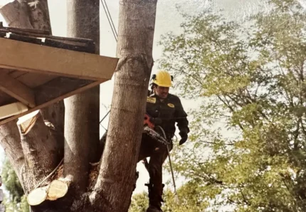 Aly in a tree with protective gear