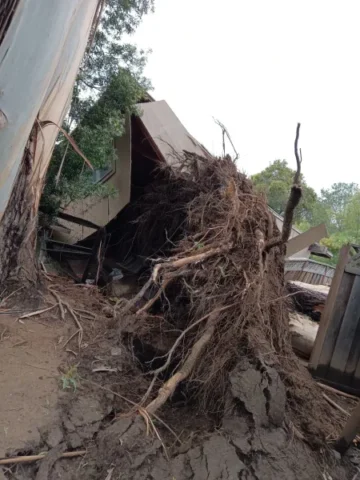 Exterior view of a home that has been damaged by a fallen tree