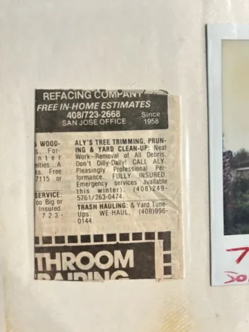 News paper clipping of Aly's Tree Trimming and Yard Clean up ad