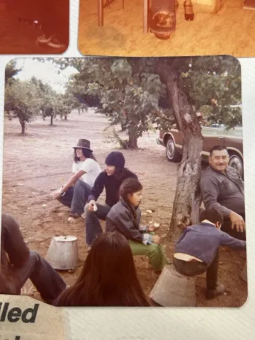Vintage family photo of aly's tree trimming and yard clean up