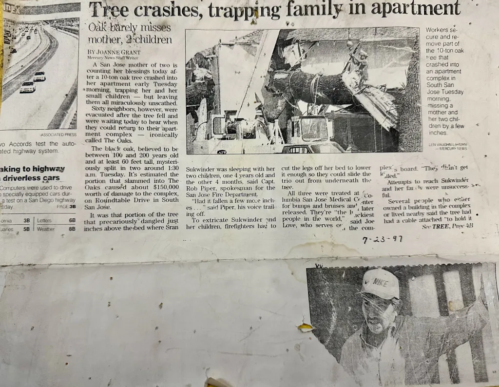 News paper clipping describing how Aly's Tree Trimming and Yard Clean Up removes a fallen tree on a home