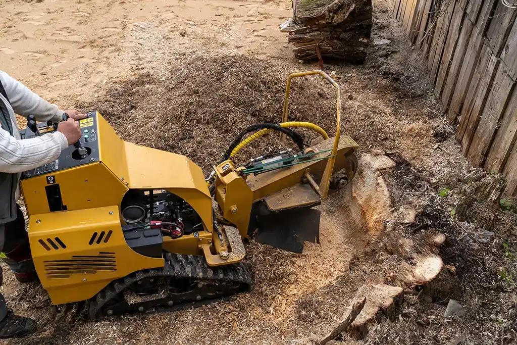 A large wooden stump being removed with equipment, used by a Bay Area CA arborist
