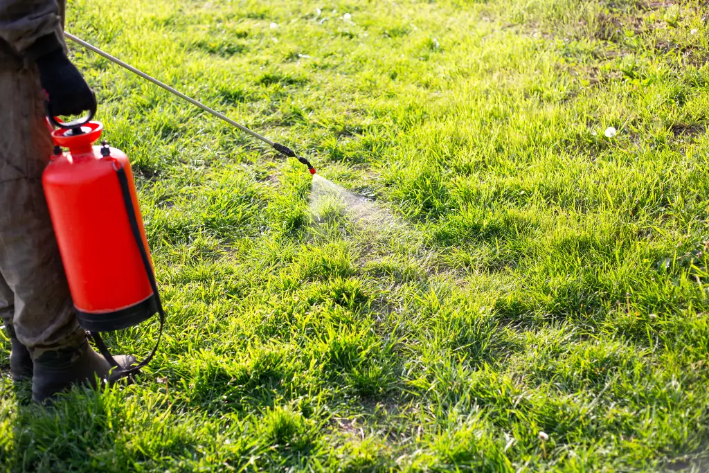 Arborist spraying grass in a garden plot with a garden sprayer against weeds with a herbicide solution